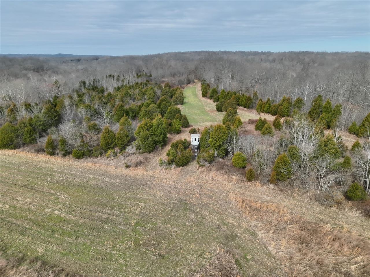 463 Charlie Shepard Road Morgantown, KY 42261 - Photo 4 of 81 Gallery Image 4
