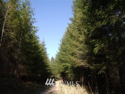 2 Northeast Thompson Road Yacolt, WA 98675 - Photo 1 of 12 Gallery Image 1