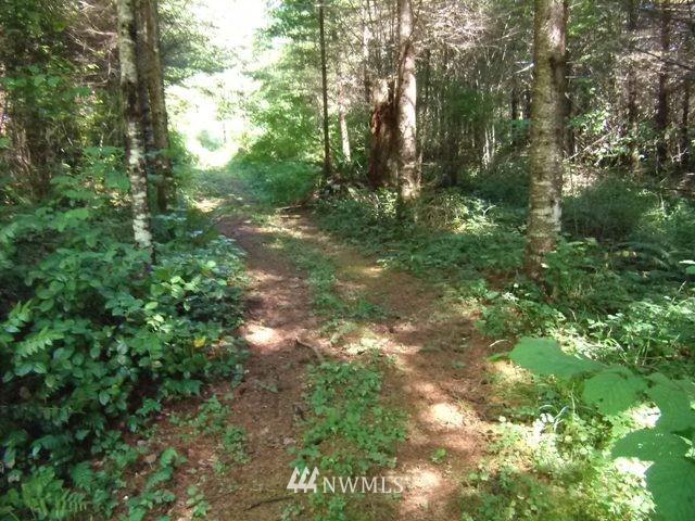 2 Northeast Thompson Road Yacolt, WA 98675 - Photo 2 of 12 Gallery Image 2