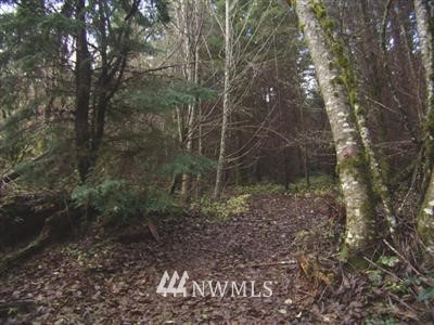 2 Northeast Thompson Road Yacolt, WA 98675 - Photo 5 of 12 Gallery Image 5