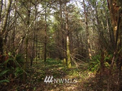 2 Northeast Thompson Road Yacolt, WA 98675 - Photo 7 of 12 Gallery Image 7