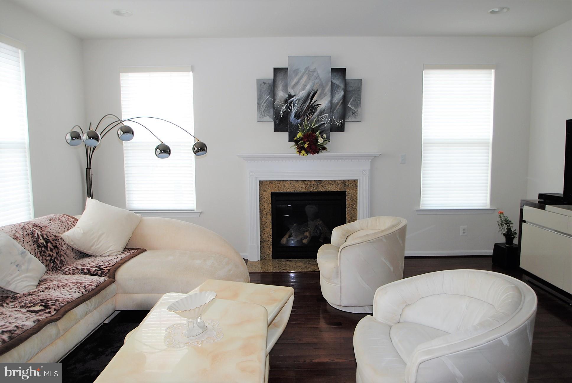 744 Cherry Tree Road Middletown, DE 19709 - Photo 18 of 78 living room with fire place