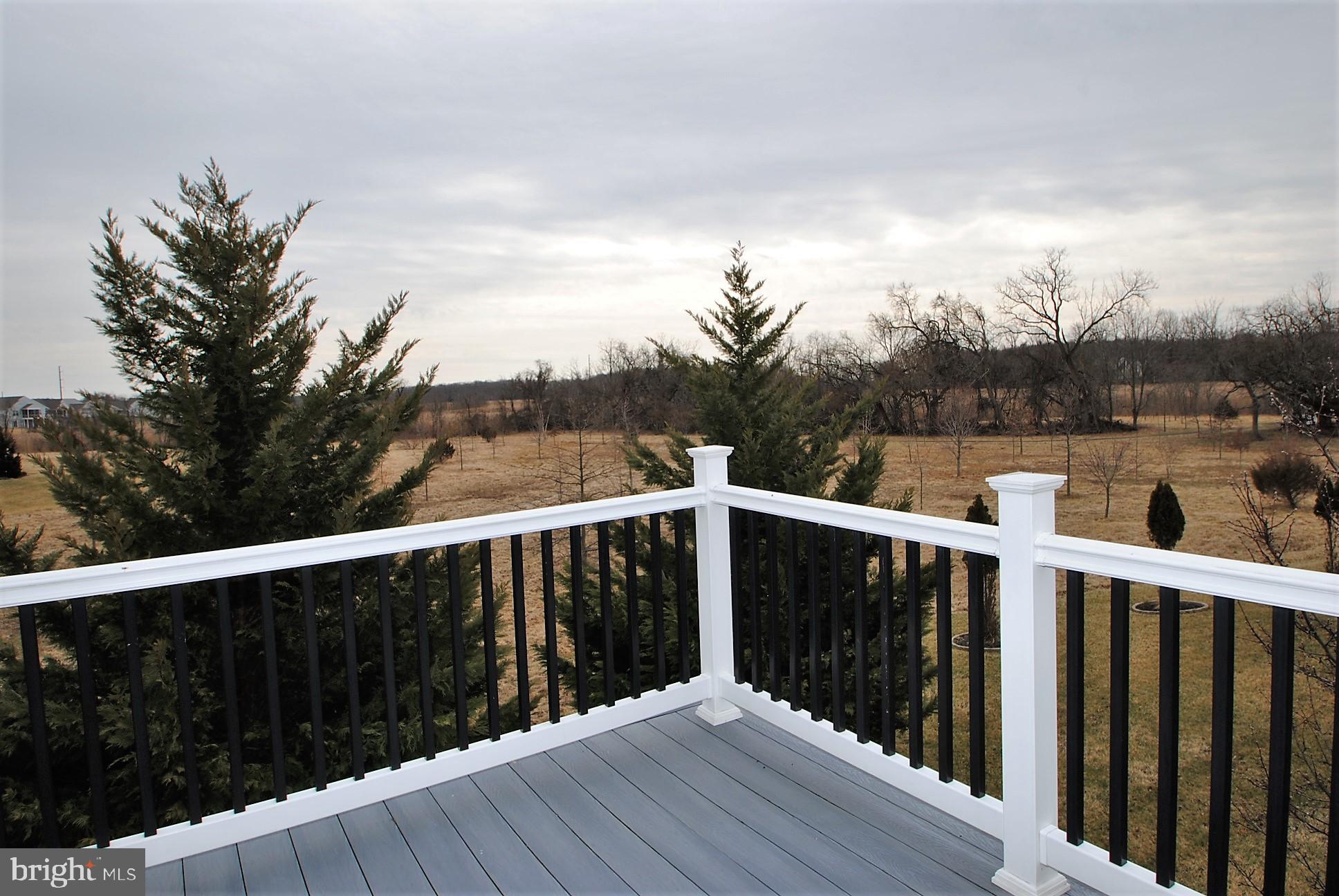 744 Cherry Tree Road Middletown, DE 19709 - Photo 51 of 78 rear deck view