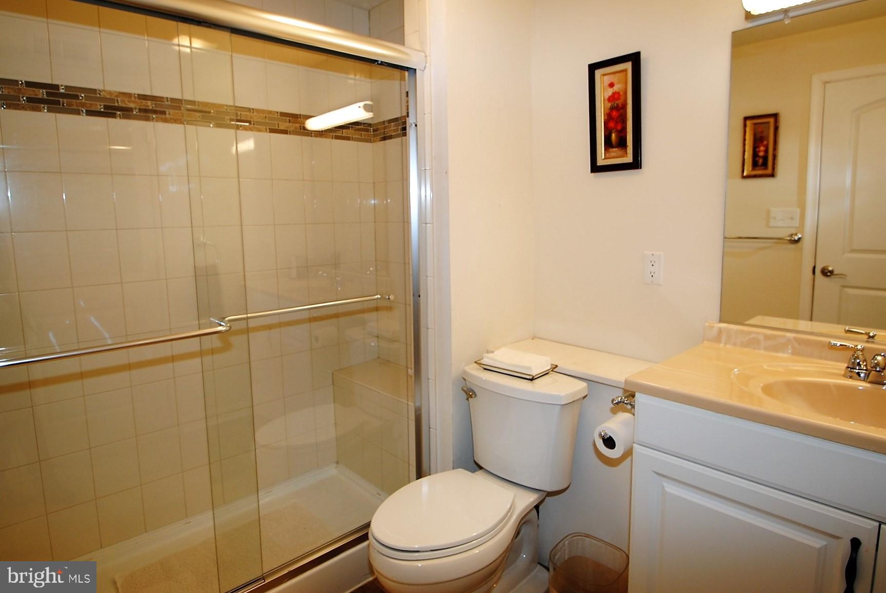 744 Cherry Tree Road Middletown, DE 19709 - Photo 53 of 78 bathroom