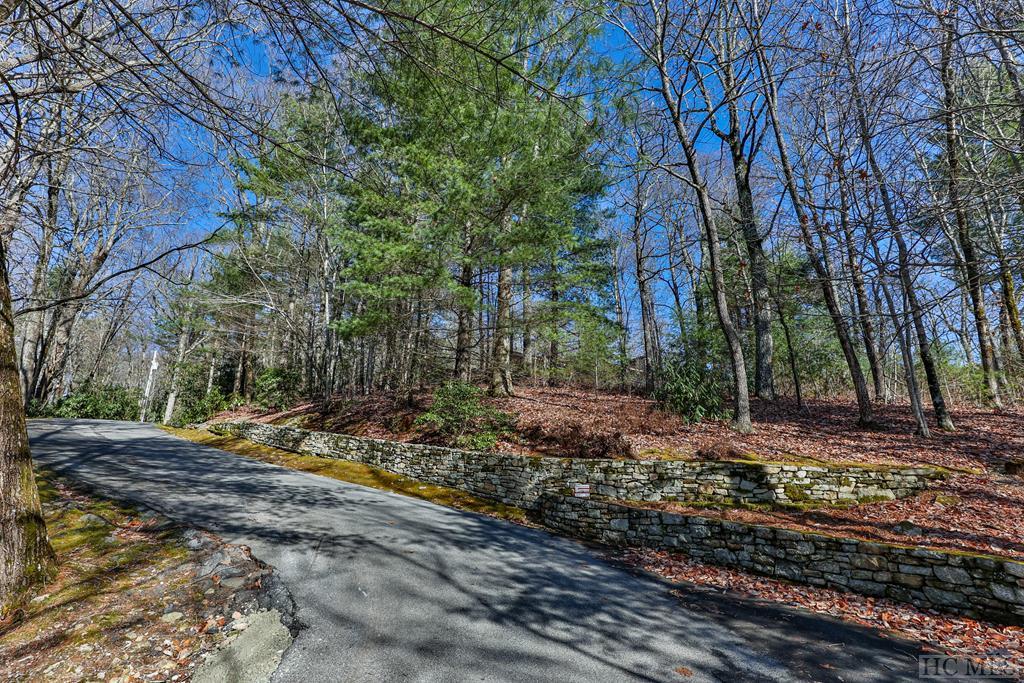 690 Halsted Road Cashiers, NC 28717 - Photo 60 of 62 Gallery Image 60