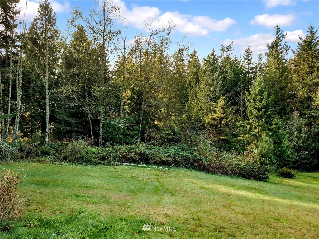 528 Whitecap Road Bellingham, WA 98229 - Photo 11 of 25