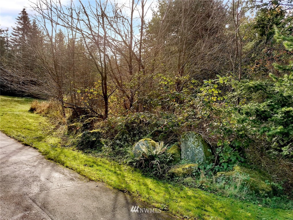 528 Whitecap Road Bellingham, WA 98229 - Photo 14 of 25