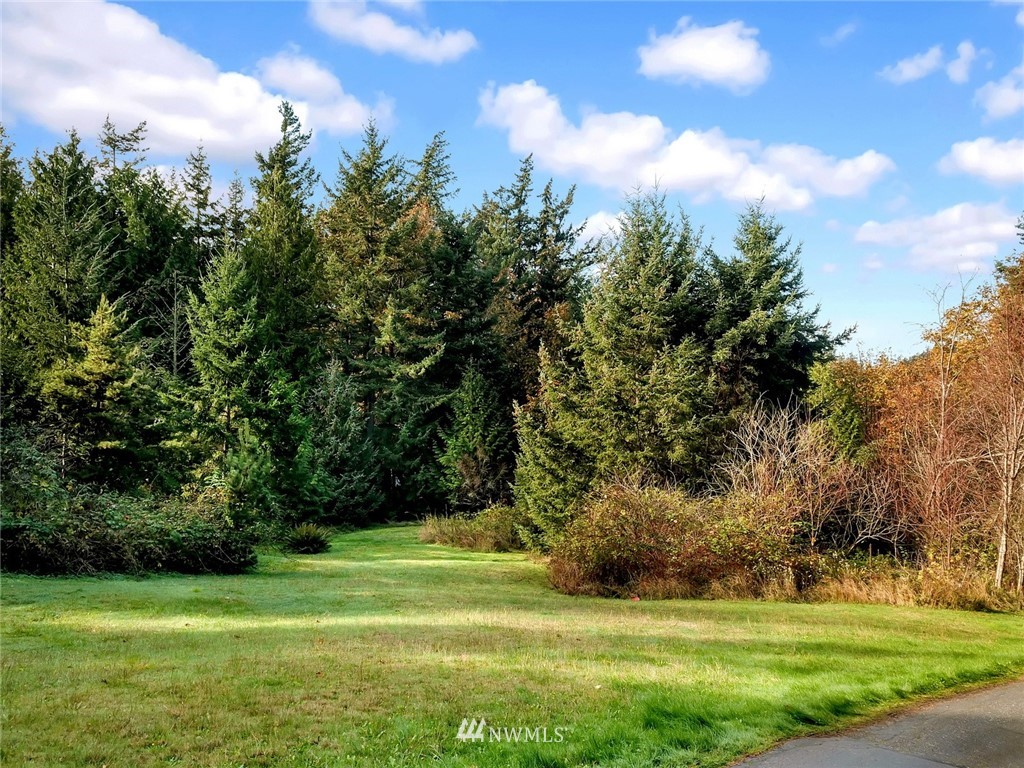 528 Whitecap Road Bellingham, WA 98229 - Photo 15 of 25