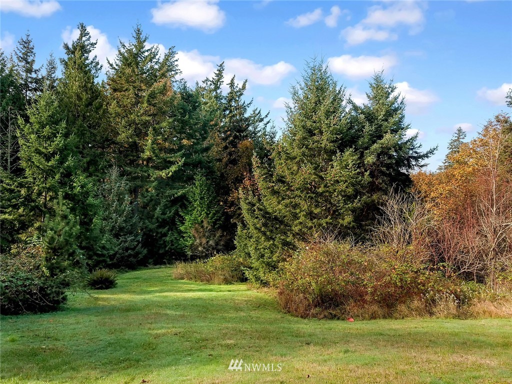 528 Whitecap Road Bellingham, WA 98229 - Photo 7 of 25