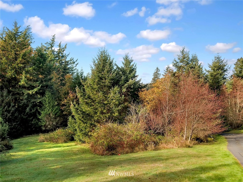 528 Whitecap Road Bellingham, WA 98229 - Photo 8 of 25