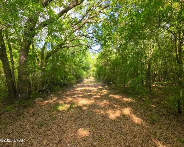 $249,900 | Tbd Nearing Hills Circle, Chipley, FL 32428