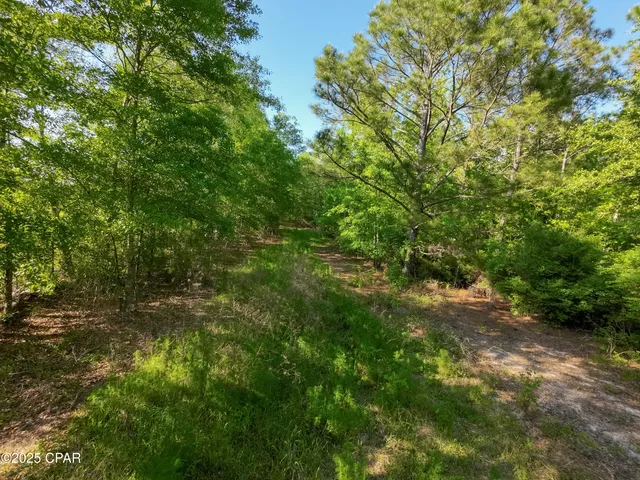 $249,900 | Tbd Nearing Hills Circle, Chipley, FL 32428