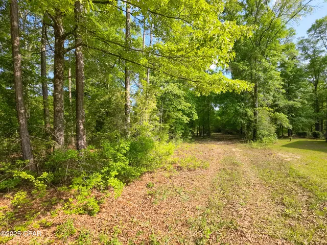 $249,900 | Tbd Nearing Hills Circle, Chipley, FL 32428