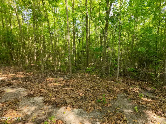 $249,900 | Tbd Nearing Hills Circle, Chipley, FL 32428