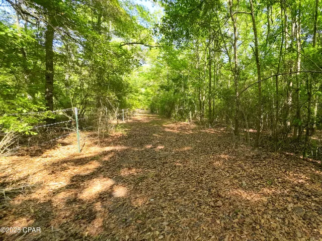 $249,900 | Tbd Nearing Hills Circle, Chipley, FL 32428