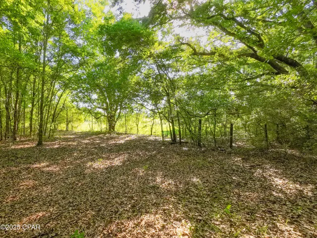 $249,900 | Tbd Nearing Hills Circle, Chipley, FL 32428