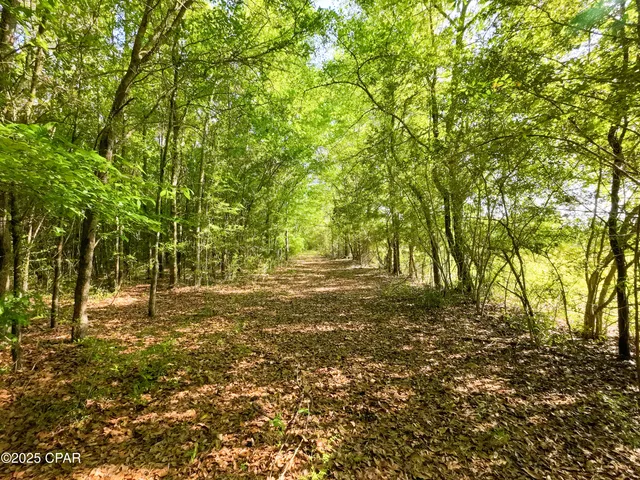 $249,900 | Tbd Nearing Hills Circle, Chipley, FL 32428