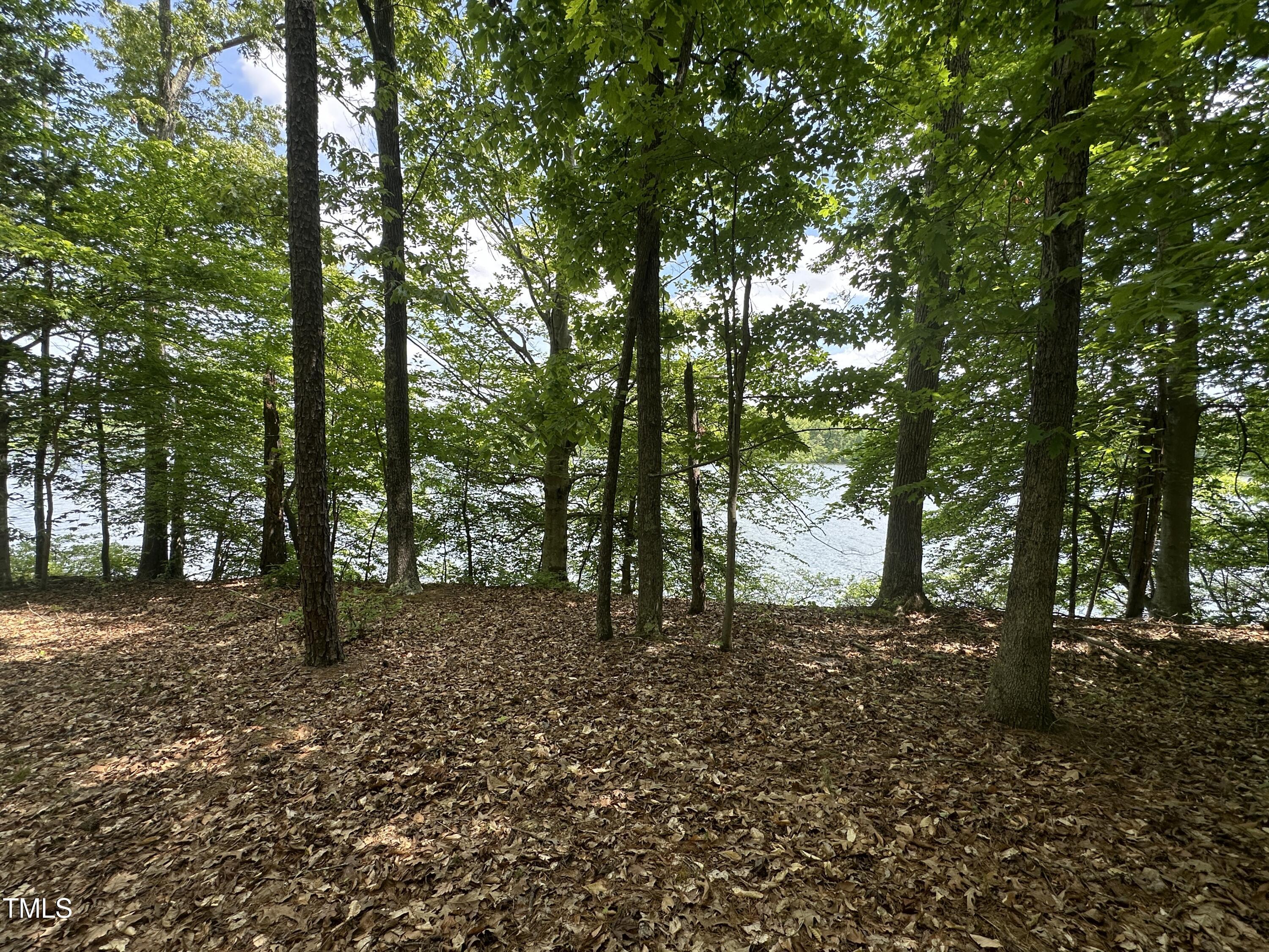 2011 Bowmantown Road Roxboro, NC 27574 - Photo 5 of 11 IMG_5637