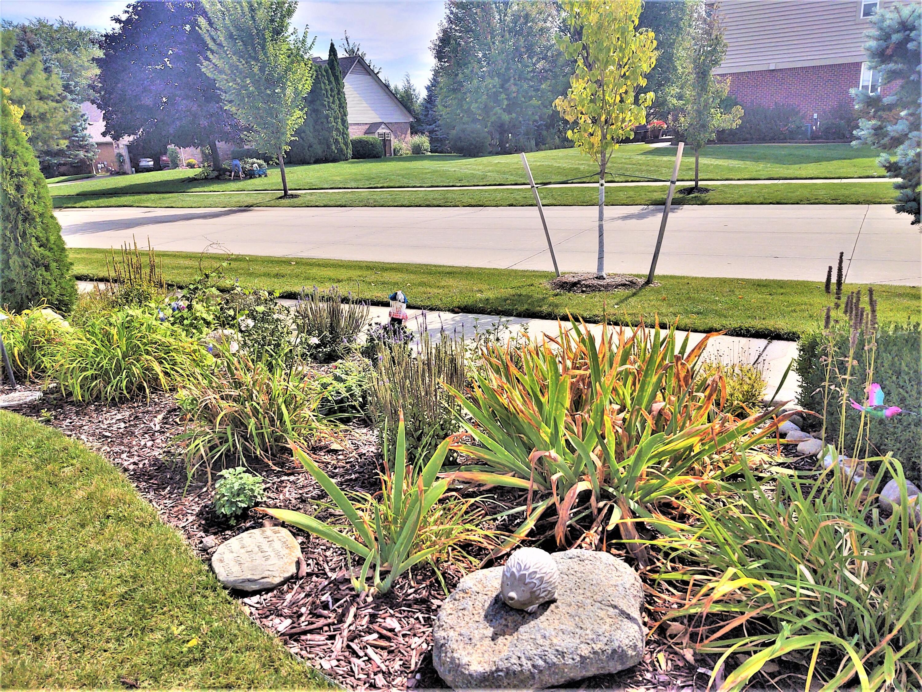 6768 Merrick Drive Troy, MI 48098 - Photo 4 of 85 05 - Front Landscaping