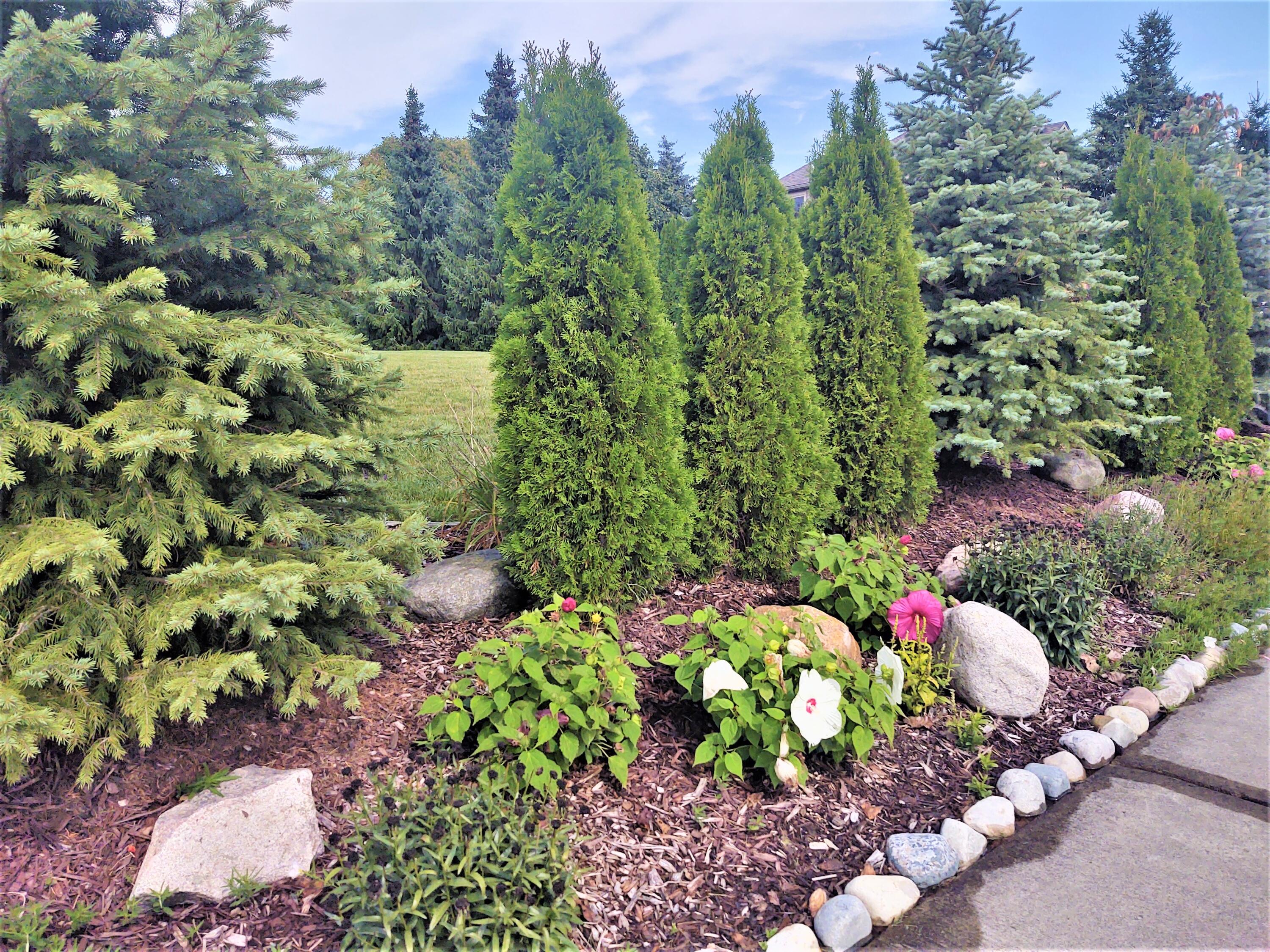 6768 Merrick Drive Troy, MI 48098 - Photo 78 of 85 69 - Side Landscaping