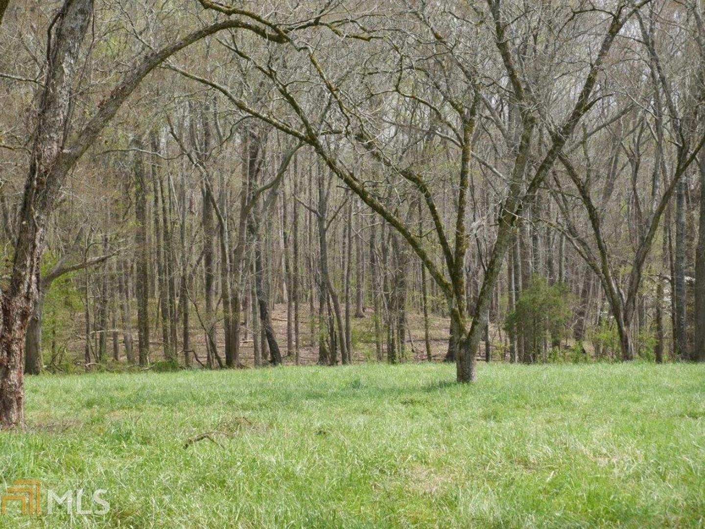 0 Cane Creek Road, Unit TRACT 2 Athens, GA 30607 - Photo 1 of 1