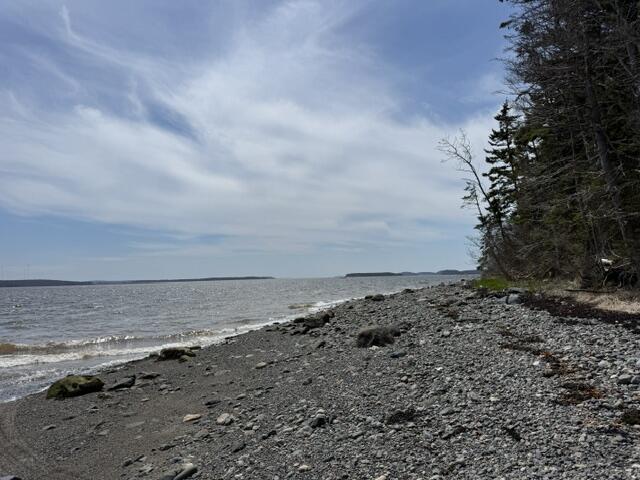 Lot 4 Holmes Bay Farms Road Whiting, ME 04691 - Photo 18 of 18 IMG_9081 (1)