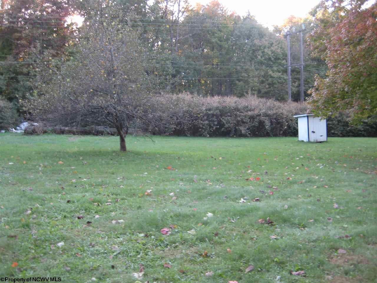 163 Indian Rock Road Reedsville, WV 26547 - Photo 18 of 19 Gallery Image 18