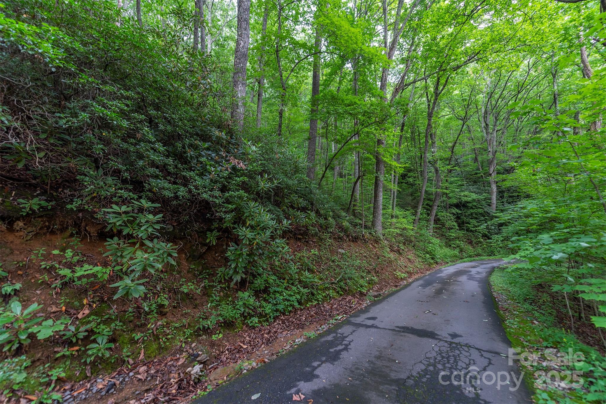 Tbd Summer Haven Road, Unit 16 Swannanoa, NC 28778 - Photo 11 of 45 a view of a street with a trees