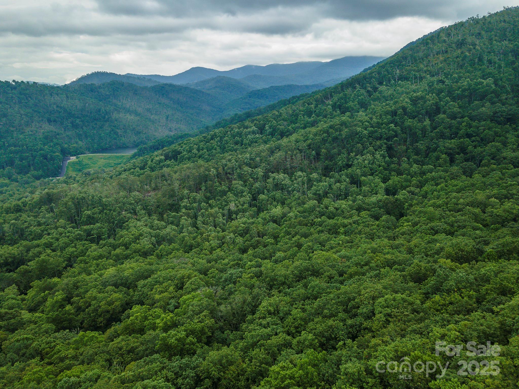 Tbd Summer Haven Road, Unit 16 Swannanoa, NC 28778 - Photo 12 of 45