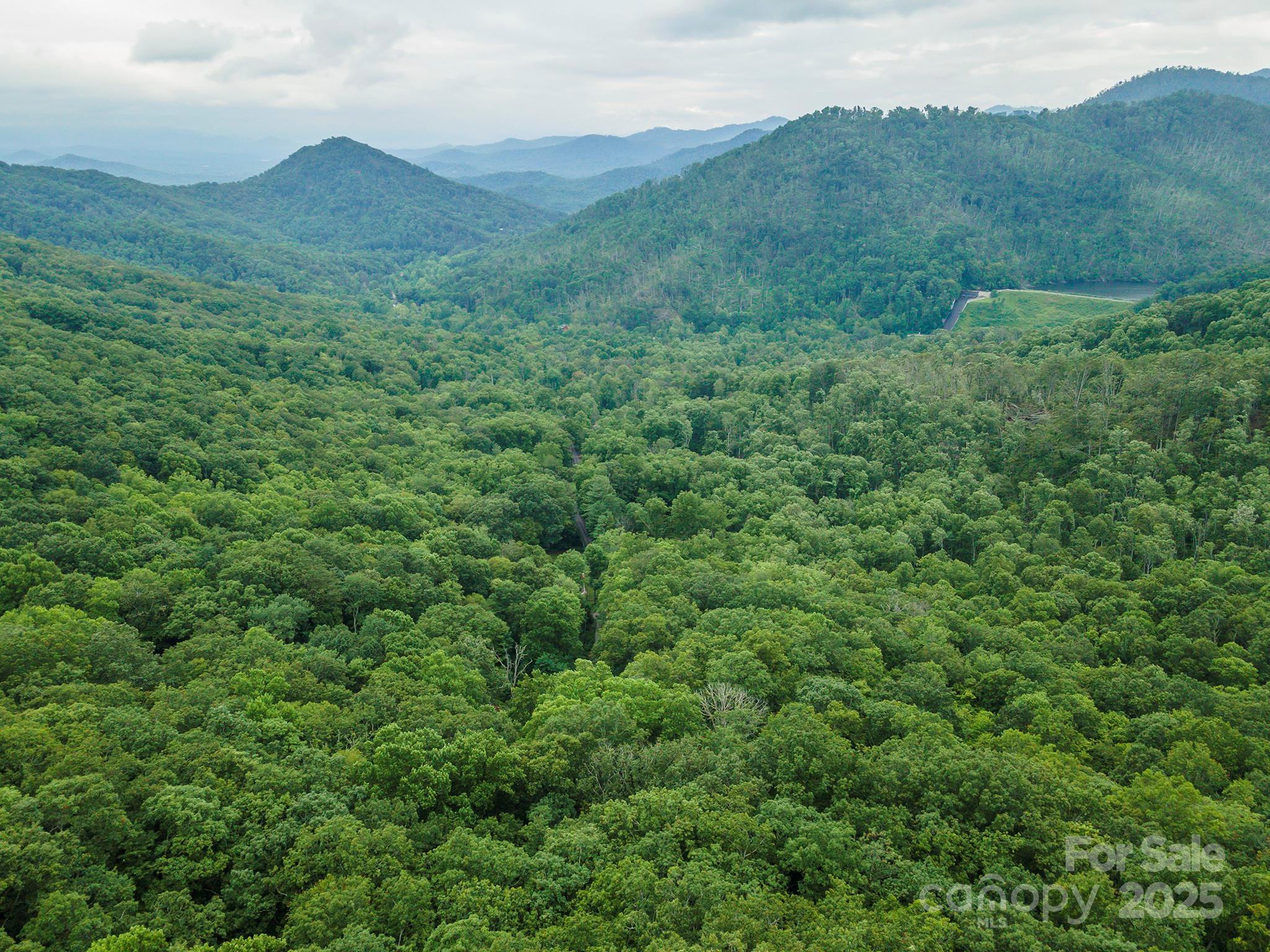 Tbd Summer Haven Road, Unit 16 Swannanoa, NC 28778 - Photo 13 of 45 a view of a mountain in the distance in a field