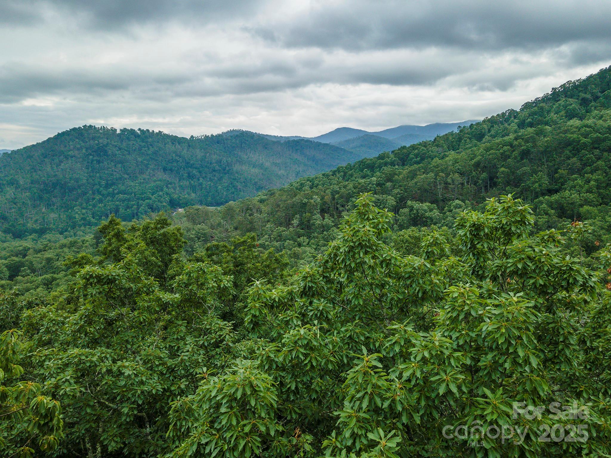 Tbd Summer Haven Road, Unit 16 Swannanoa, NC 28778 - Photo 14 of 45
