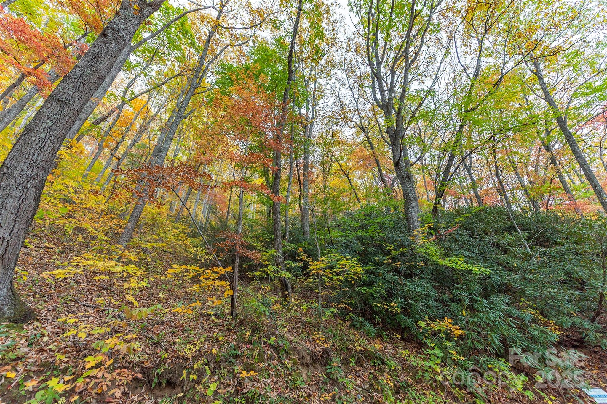 Tbd Summer Haven Road, Unit 16 Swannanoa, NC 28778 - Photo 16 of 45