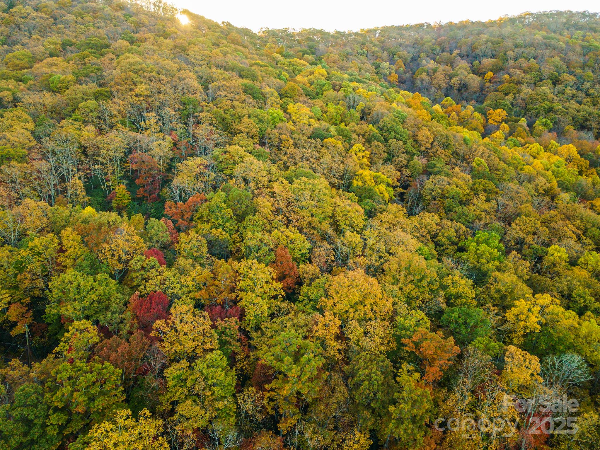 Tbd Summer Haven Road, Unit 16 Swannanoa, NC 28778 - Photo 19 of 45
