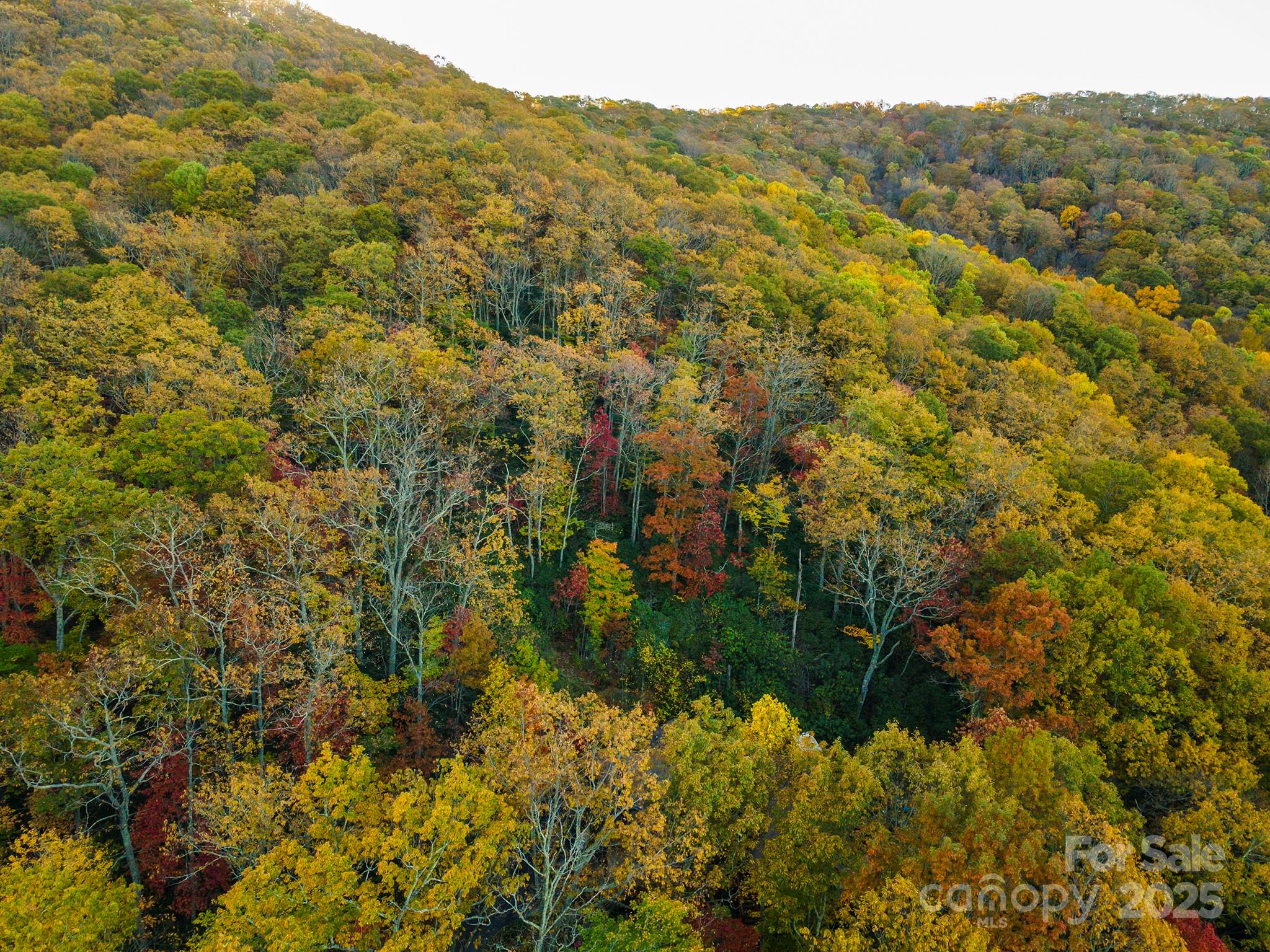 Tbd Summer Haven Road, Unit 16 Swannanoa, NC 28778 - Photo 20 of 45