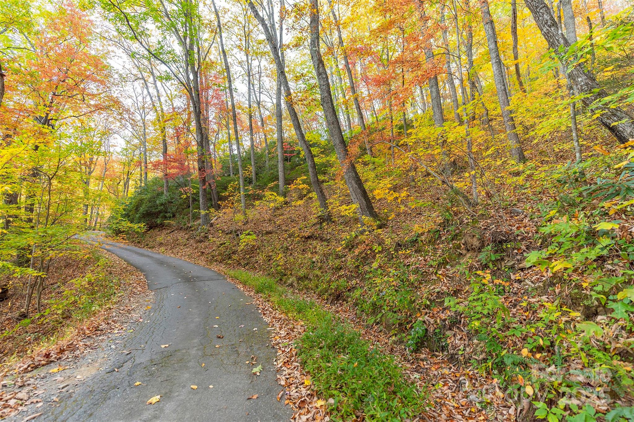 Tbd Summer Haven Road, Unit 16 Swannanoa, NC 28778 - Photo 2 of 45