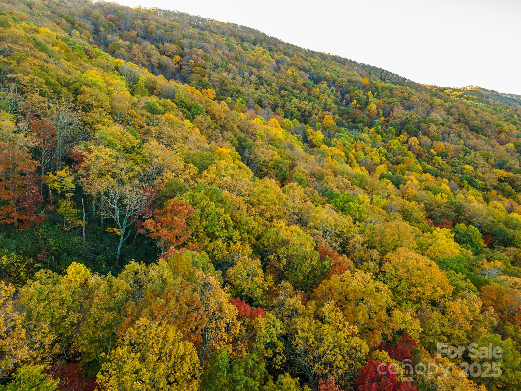 Tbd Summer Haven Road, Unit 16 Swannanoa, NC 28778 - Photo 21 of 45