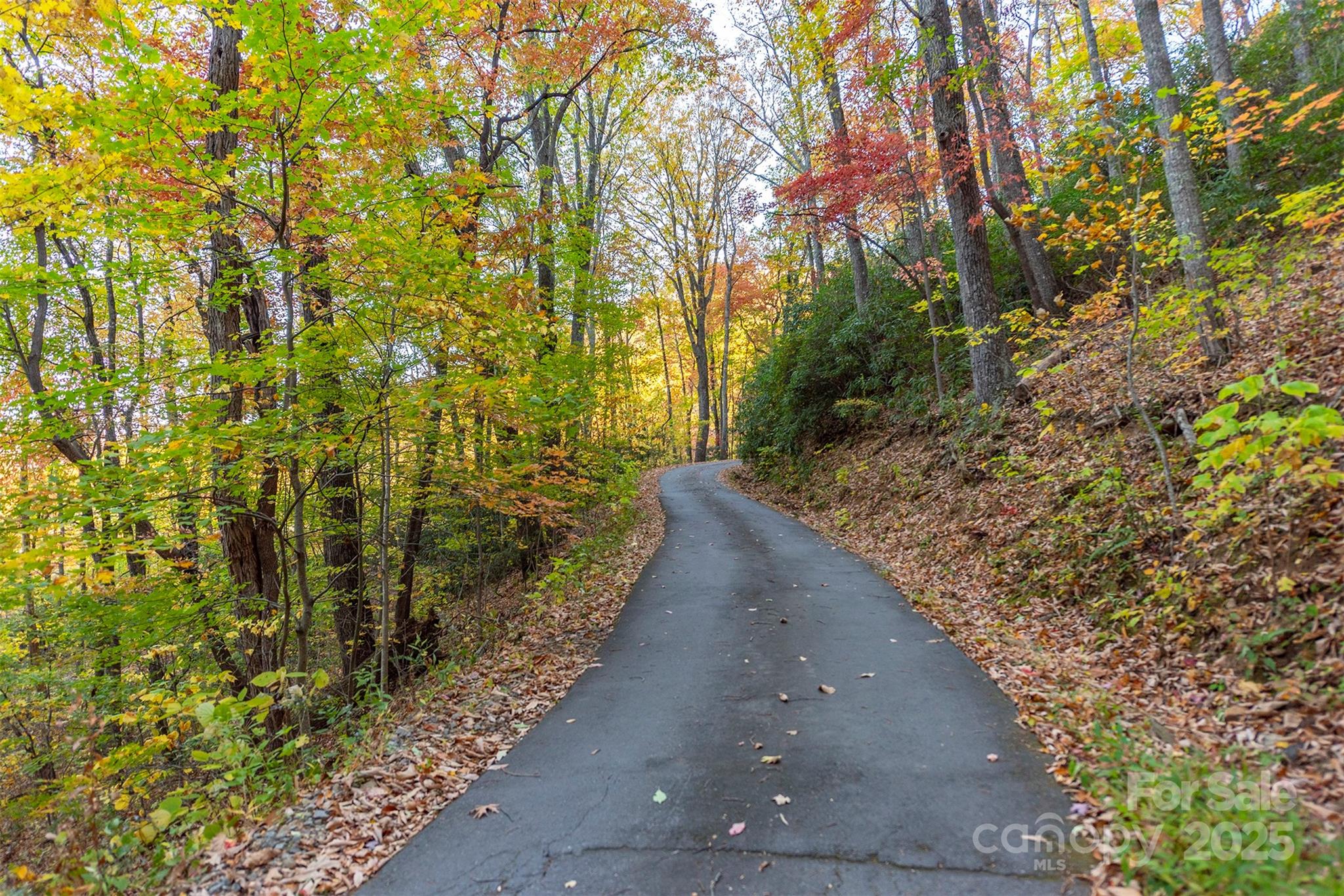 Tbd Summer Haven Road, Unit 16 Swannanoa, NC 28778 - Photo 22 of 45