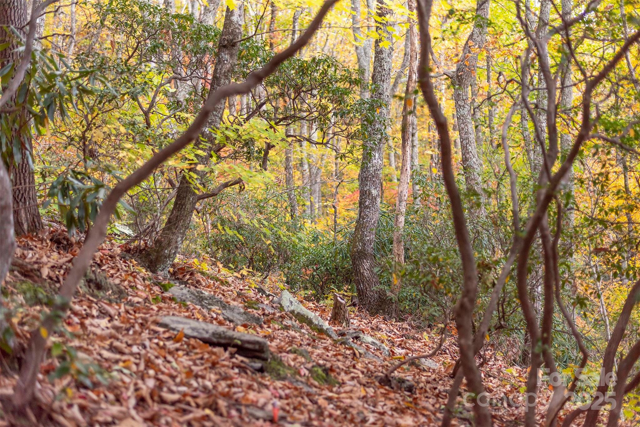 Tbd Summer Haven Road, Unit 16 Swannanoa, NC 28778 - Photo 23 of 45