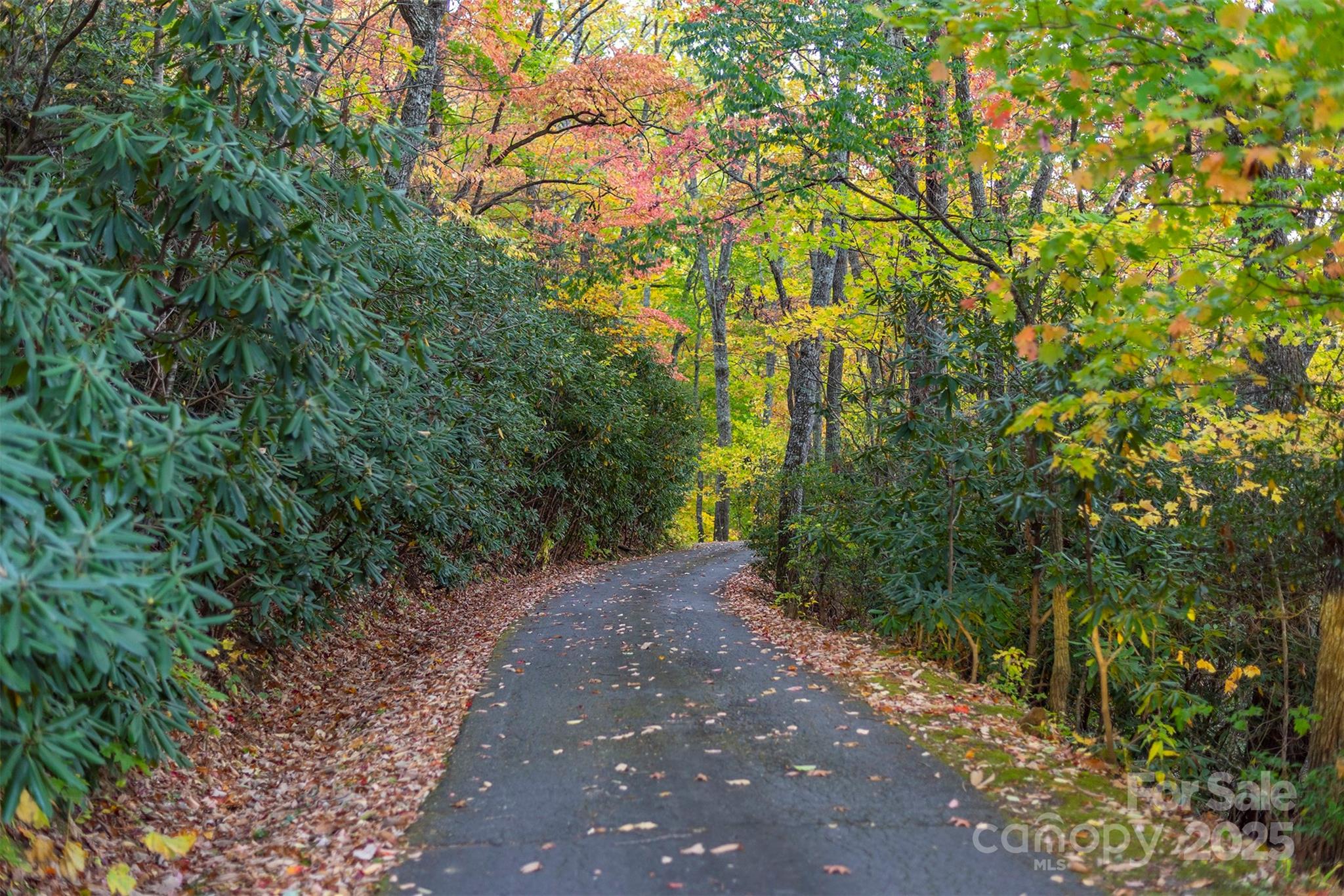 Tbd Summer Haven Road, Unit 16 Swannanoa, NC 28778 - Photo 25 of 45 a view of a pathway both side of yard