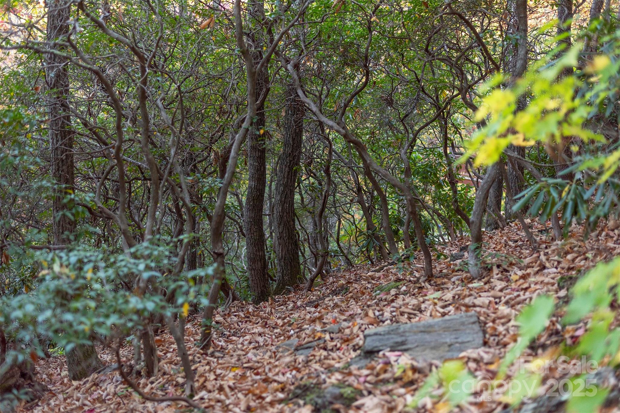 Tbd Summer Haven Road, Unit 16 Swannanoa, NC 28778 - Photo 26 of 45