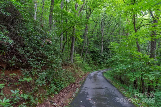 $50,000 | Tbd Summer Haven Road, Unit 16, Swannanoa, NC 28778
