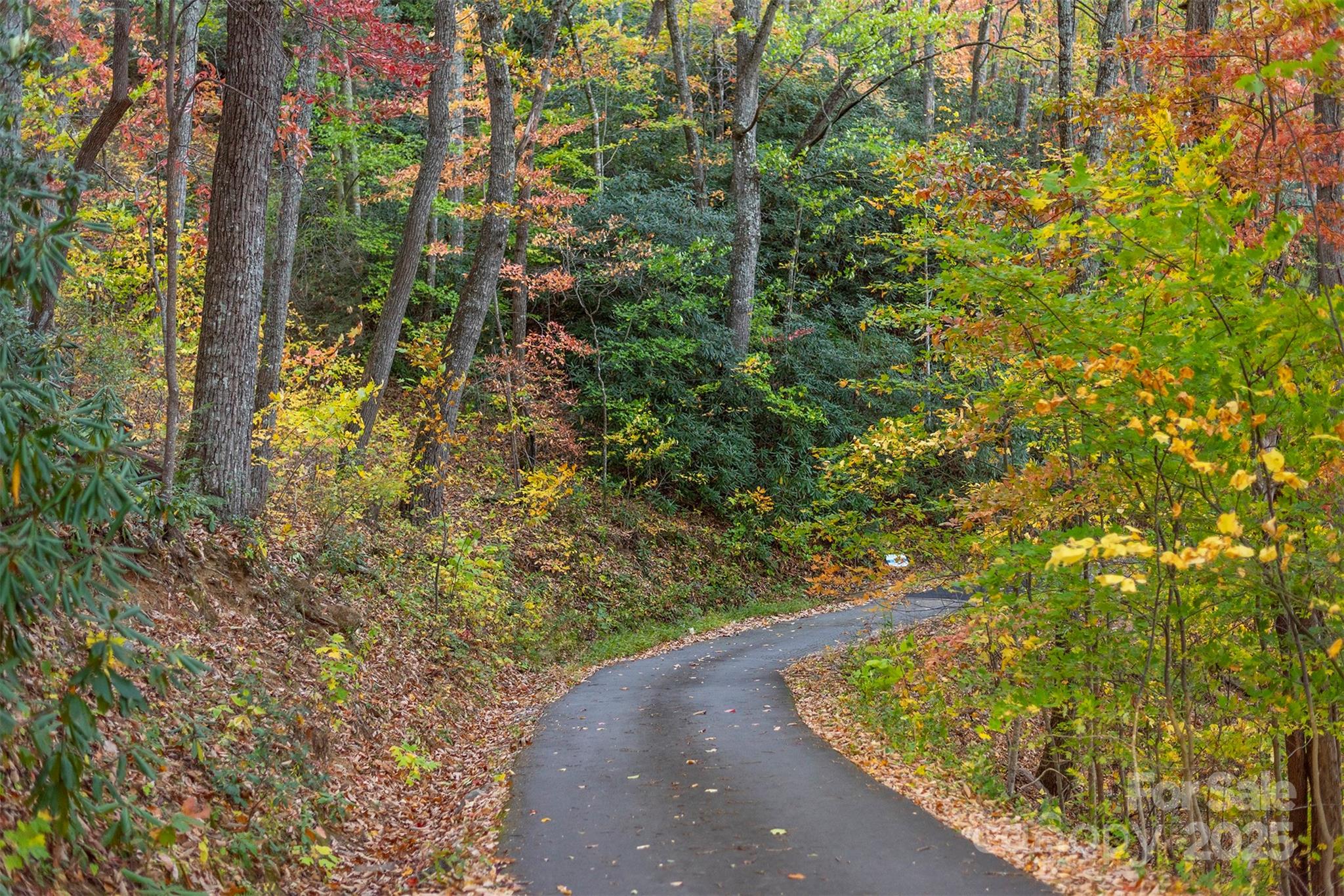 Tbd Summer Haven Road, Unit 16 Swannanoa, NC 28778 - Photo 30 of 45 a view of a yard with plants and large trees