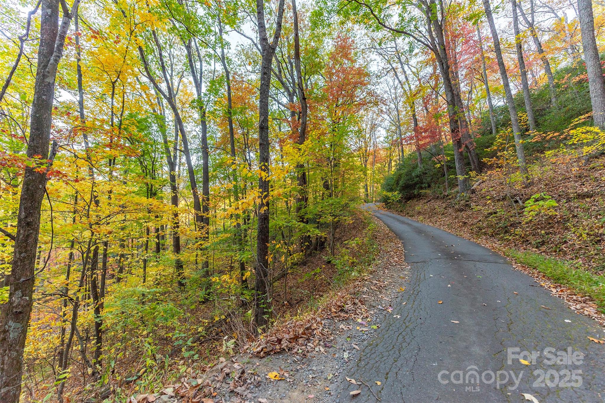 Tbd Summer Haven Road, Unit 16 Swannanoa, NC 28778 - Photo 3 of 45