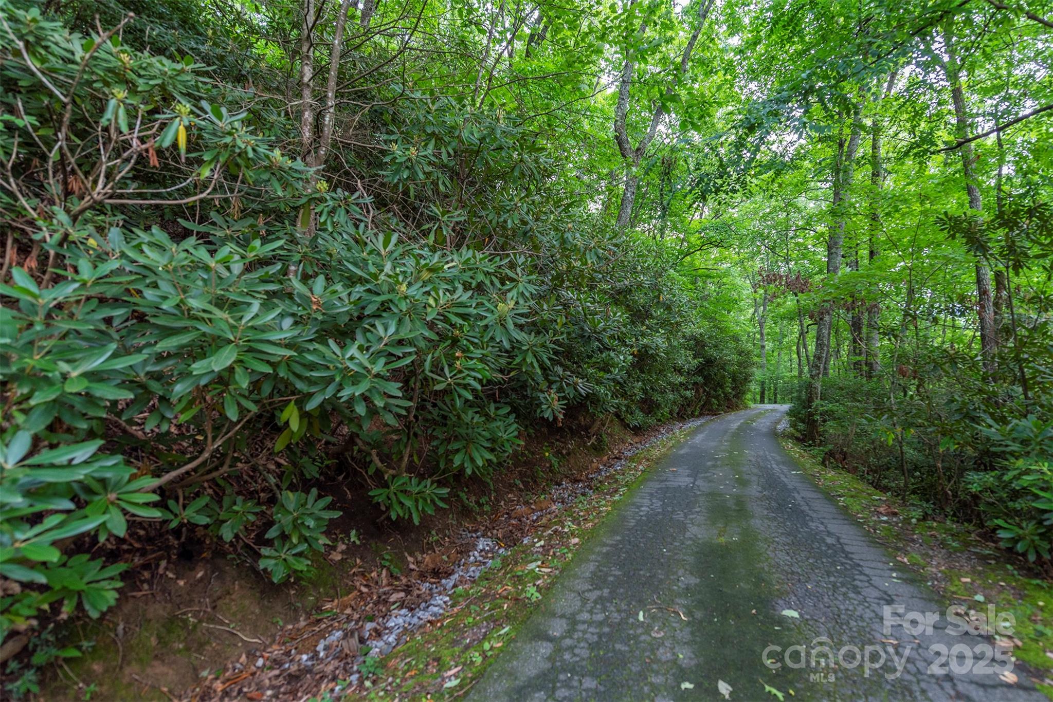 Tbd Summer Haven Road, Unit 16 Swannanoa, NC 28778 - Photo 31 of 45 a backyard of a house with lots of green space
