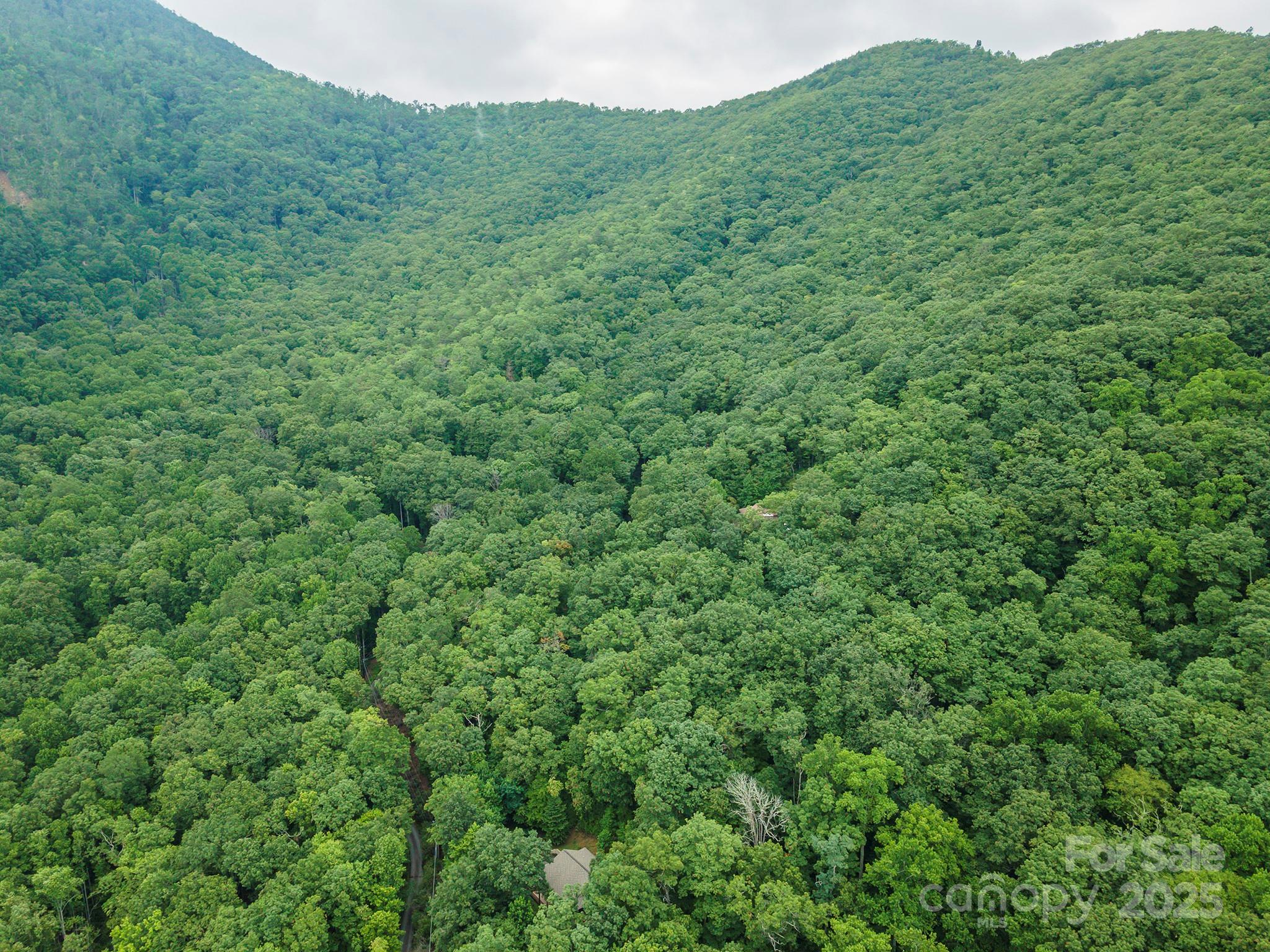 Tbd Summer Haven Road, Unit 16 Swannanoa, NC 28778 - Photo 34 of 45 a view of a lush green forest with a mountain