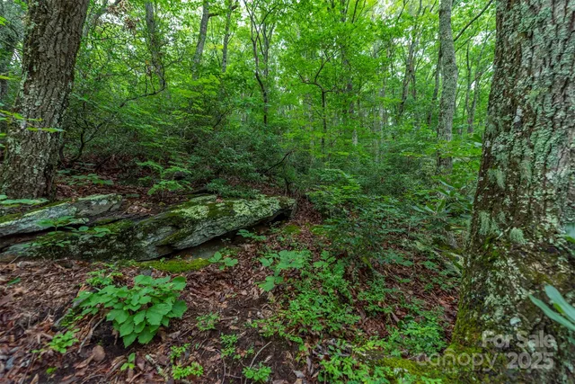 $50,000 | Tbd Summer Haven Road, Unit 16, Swannanoa, NC 28778