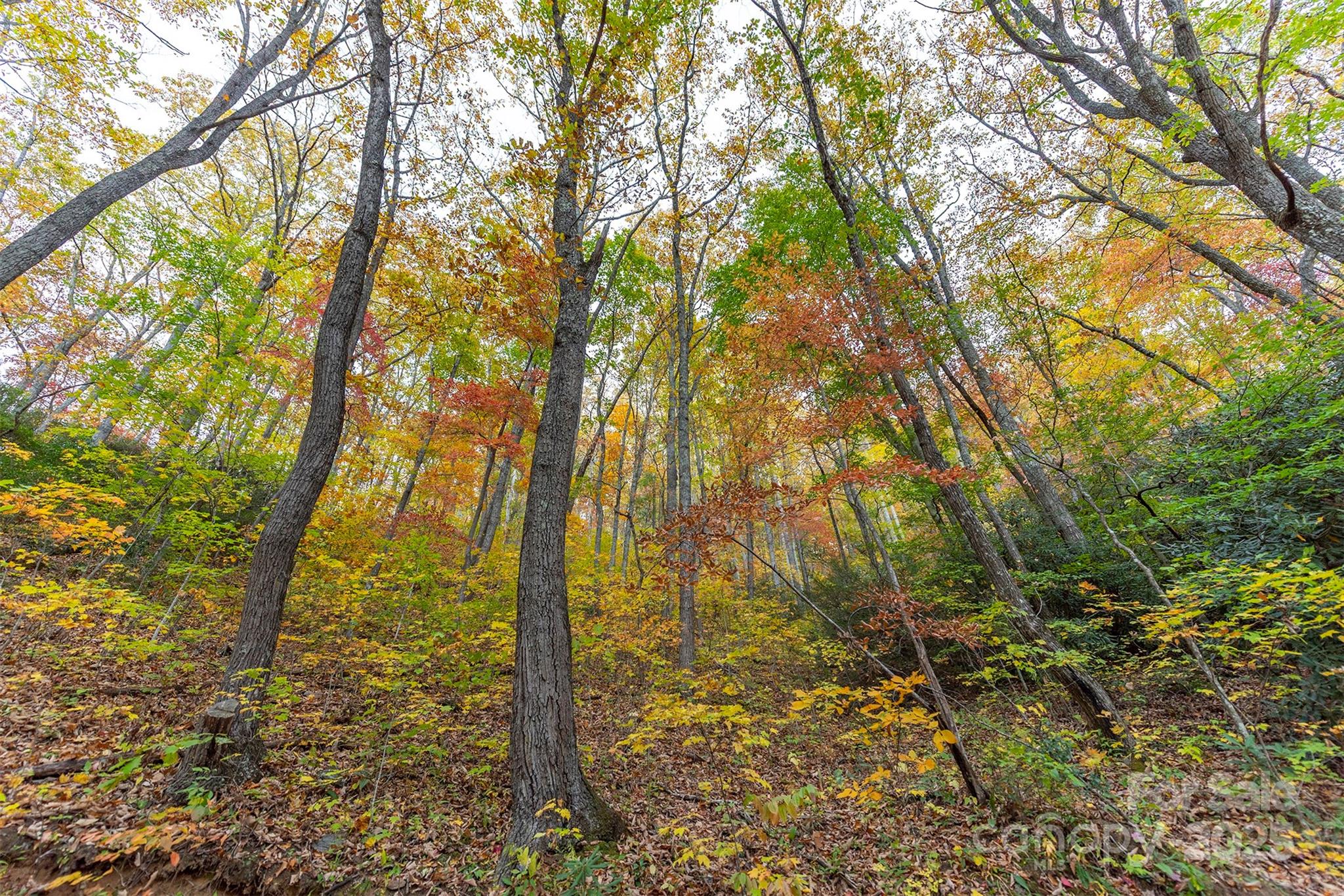 Tbd Summer Haven Road, Unit 16 Swannanoa, NC 28778 - Photo 4 of 45