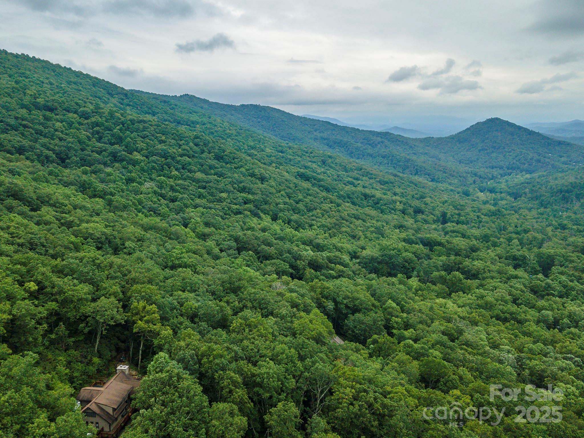 Tbd Summer Haven Road, Unit 16 Swannanoa, NC 28778 - Photo 42 of 45 an aerial view of residential houses with outdoor space and trees