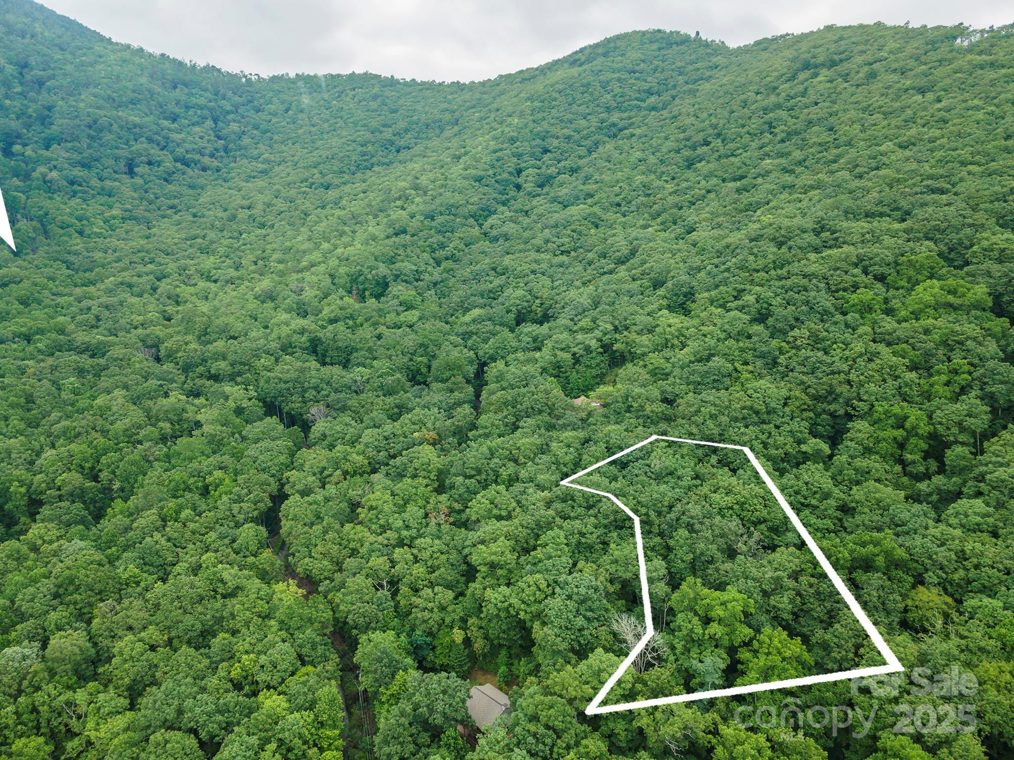 Tbd Summer Haven Road, Unit 16 Swannanoa, NC 28778 - Photo 45 of 45