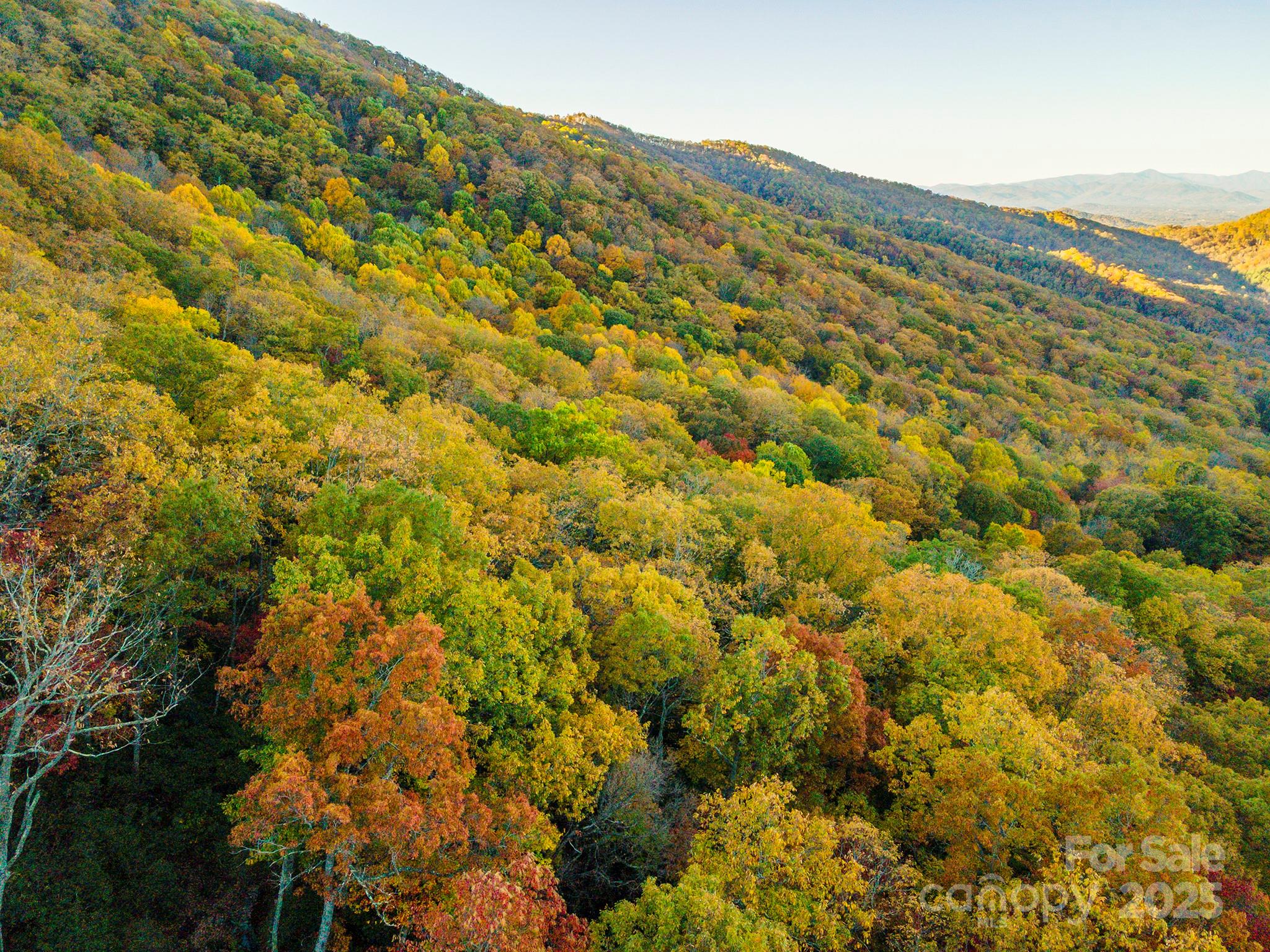 Tbd Summer Haven Road, Unit 16 Swannanoa, NC 28778 - Photo 5 of 45 a view of a field with a houses